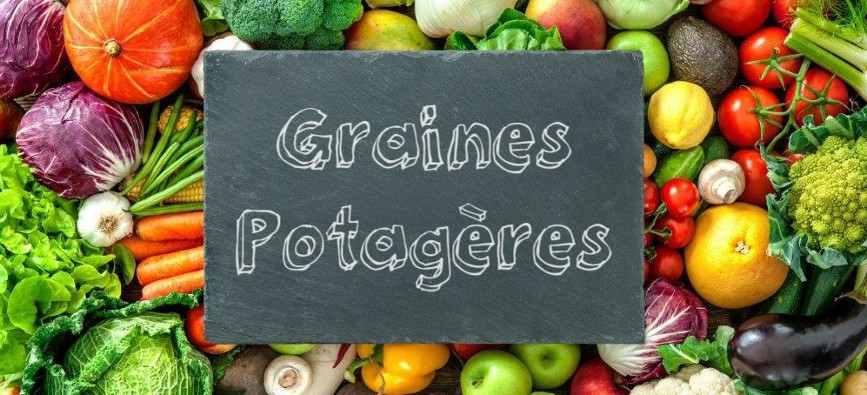 Graines potagères